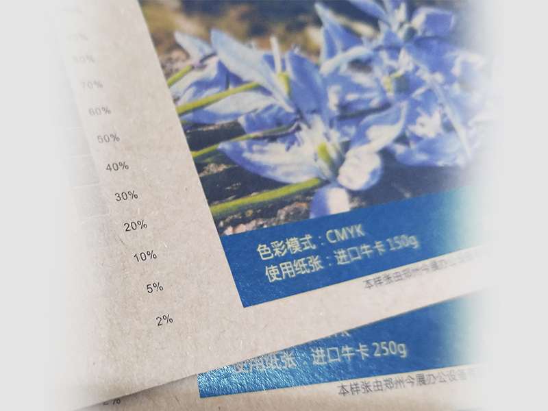 进口牛卡