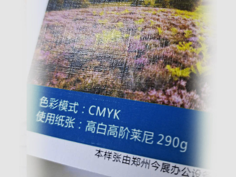 高白高阶莱尼