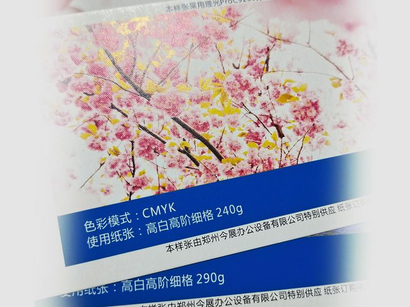 高白高阶细格