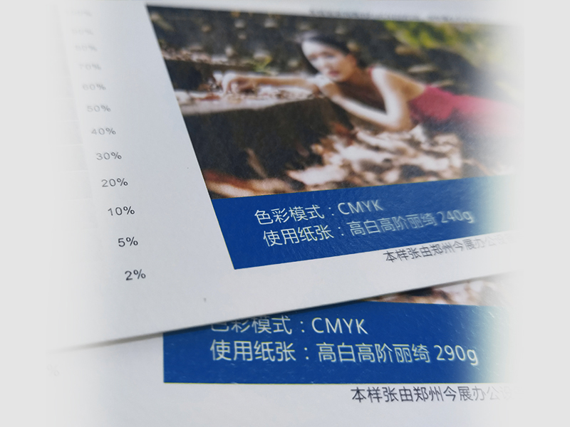 高白高阶丽琦