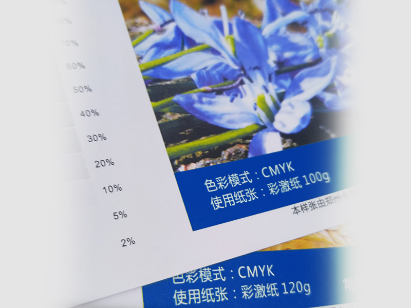 彩激纸