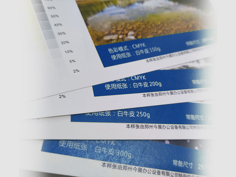 白牛皮