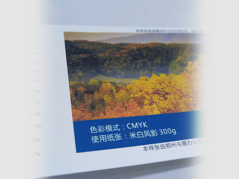 米白凤影